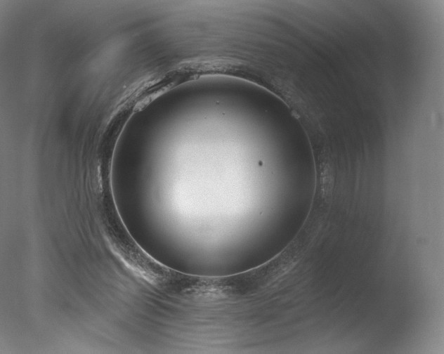 X0000077370254200610201359