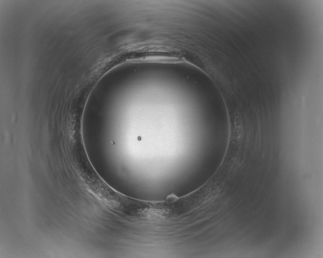 X0000077370255200610201359