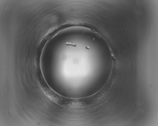 X0000077370256200610201359