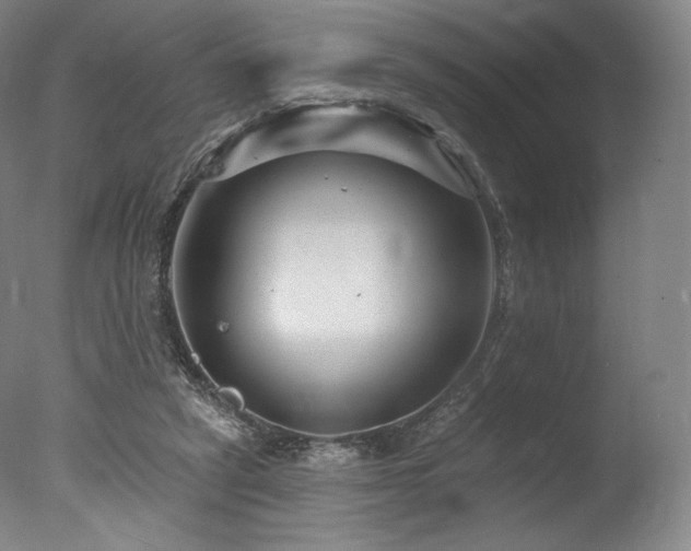 X0000077370257200610201359