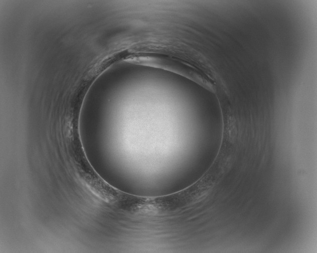 X0000077370259200610201359