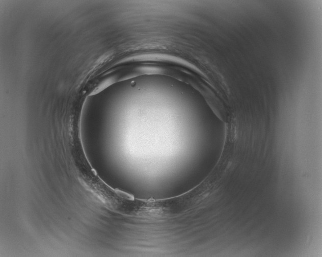 X0000077370260200610201359