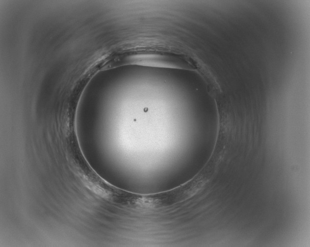 X0000077370261200610201359