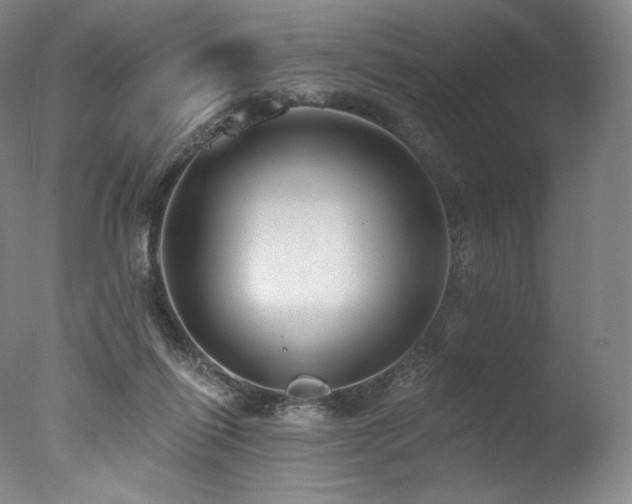 X0000077370262200610201359