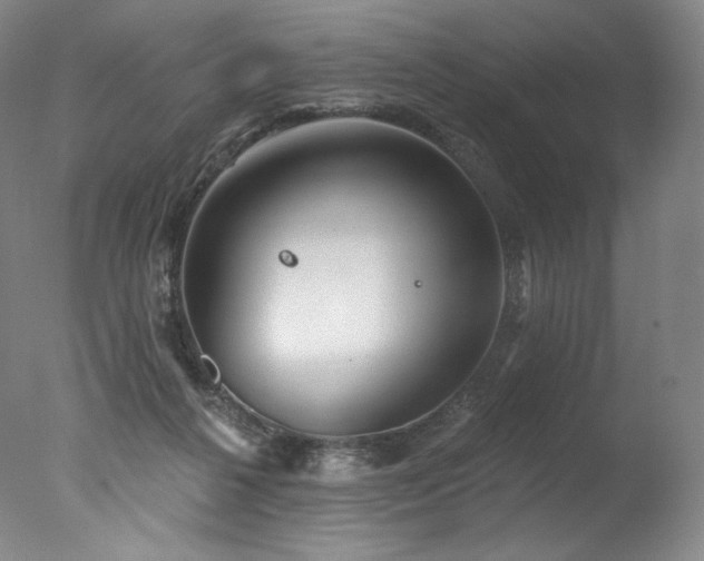 X0000077370264200610201359