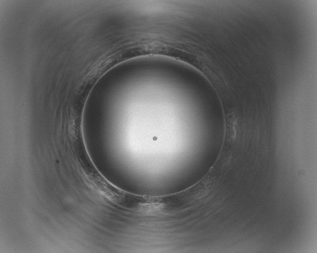 X0000077370266200610201359