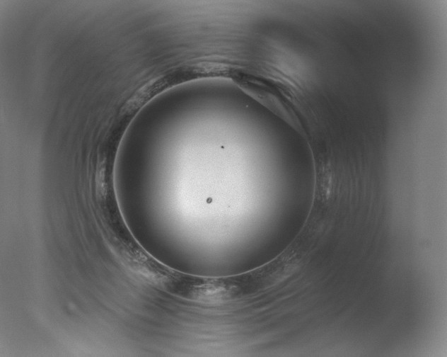 X0000077370267200610201359