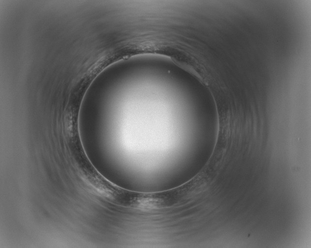 X0000077370268200610201359