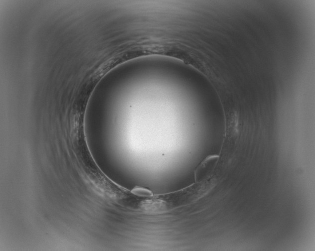 X0000077370271200610201359