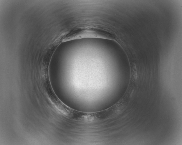 X0000077370272200610201359