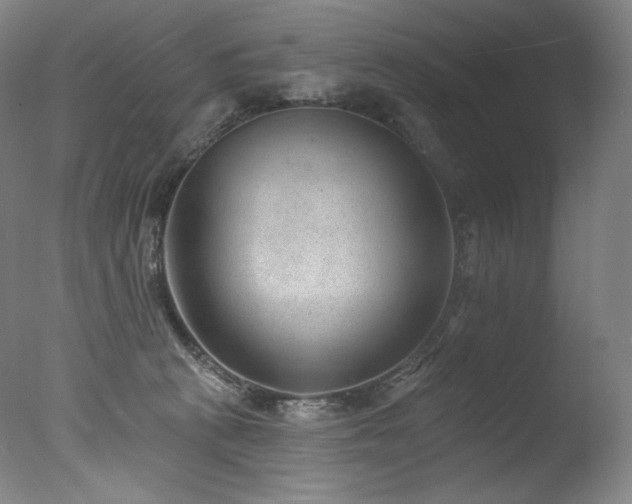 X0000077370273200610201359