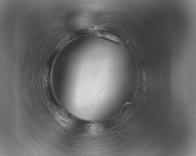 X0000077370275200610201359