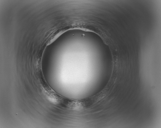 X0000077370276200610201359