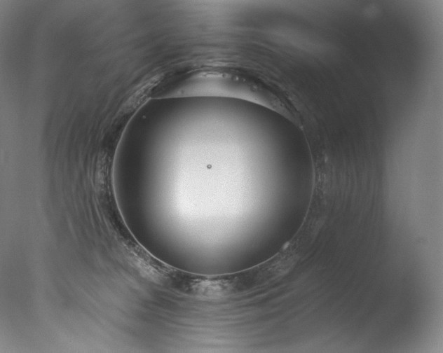 X0000077370277200610201359