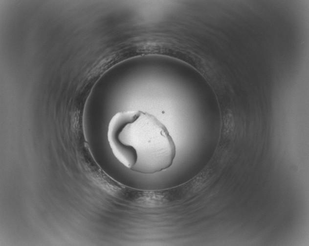 X0000077370278200610201359