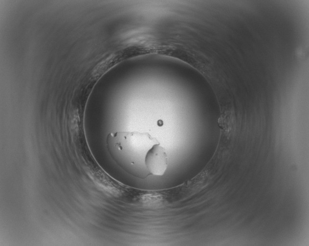 X0000077370279200610201359