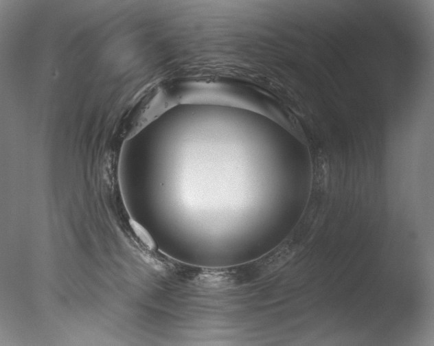 X0000077370280200610201359