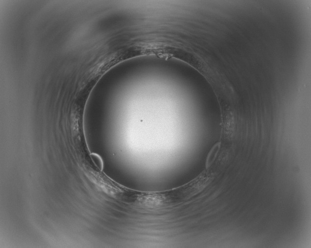 X0000077370282200610201359