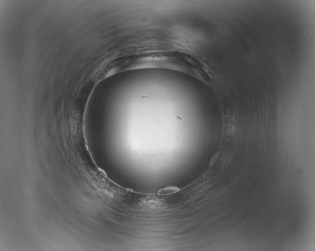 X0000077370283200610201359