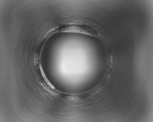 X0000077370284200610201359