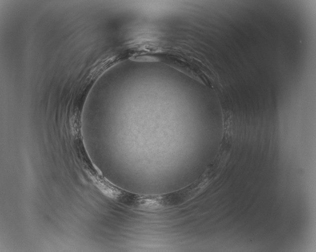 X0000077370285200610201359