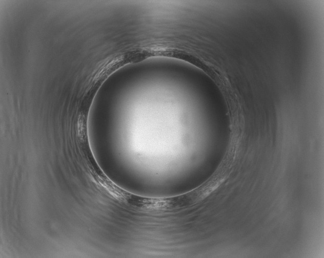 X0000077370288200610201359