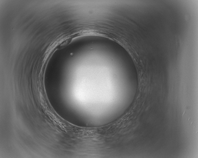 X0000077370289200610201359