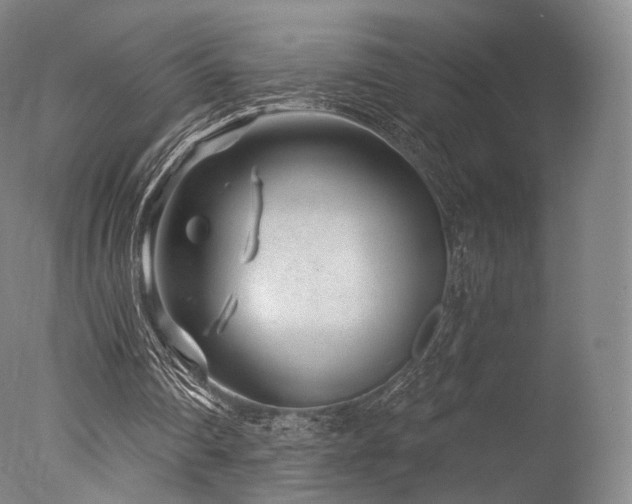 X0000077370290200610201359