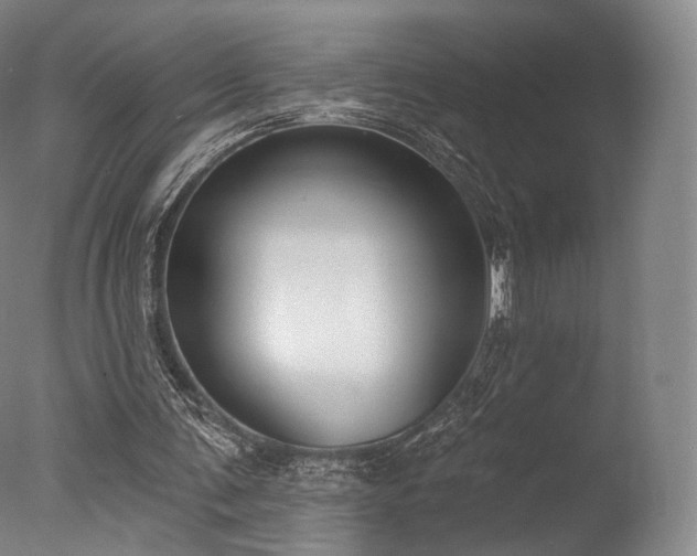 X0000077370291200610201359