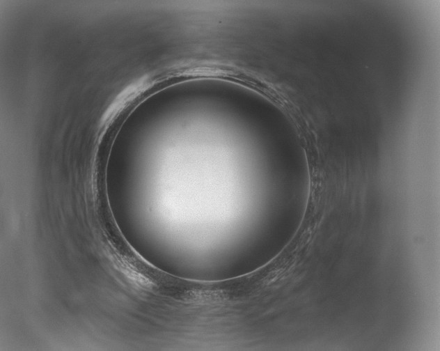 X0000077370296200610201358