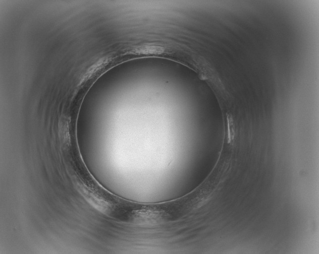 X0000077370300200610201358