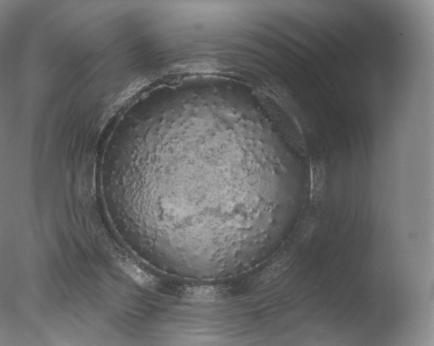 X0000077370301200610201358