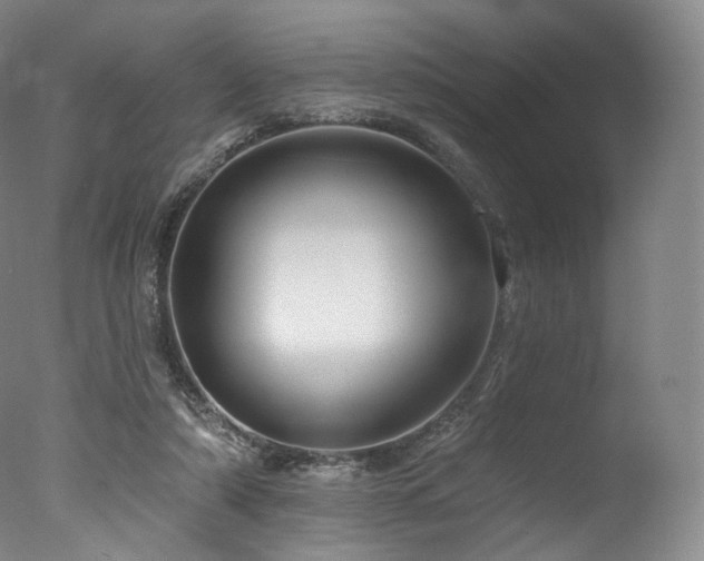 X0000077370306200610201358