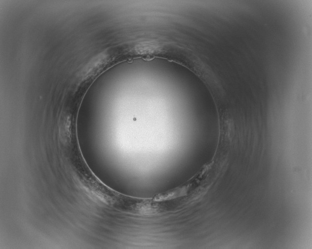 X0000077370308200610201358