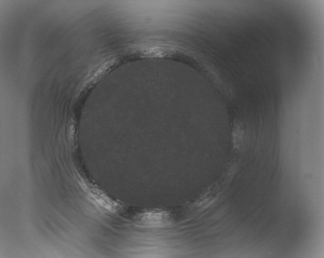 X0000077370314200610201358