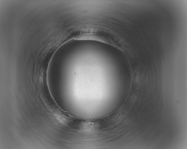 X0000077370315200610201358