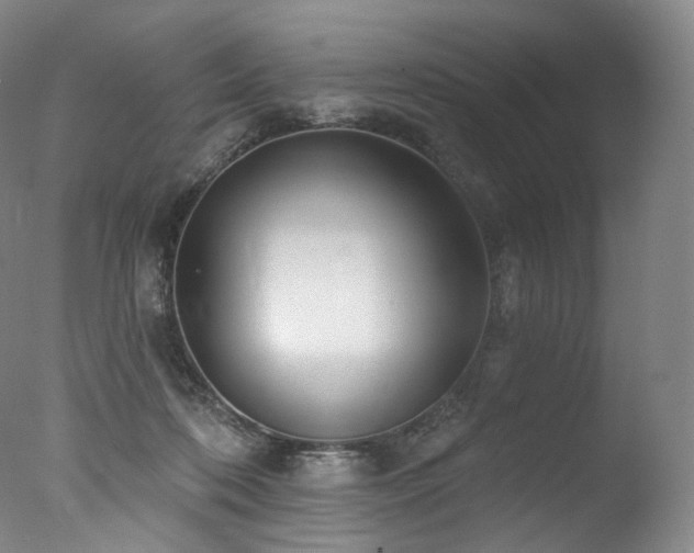 X0000077370316200610201358