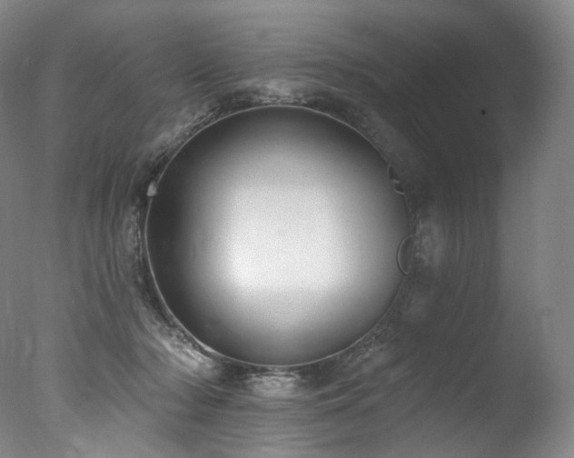 X0000077370318200610201358