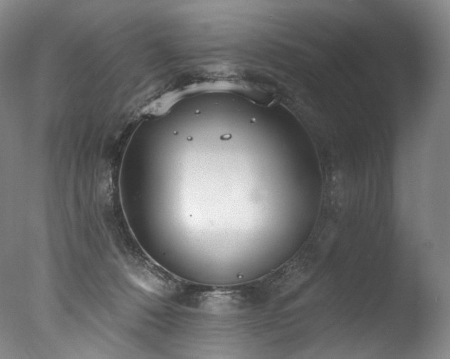 X0000077370320200610201358