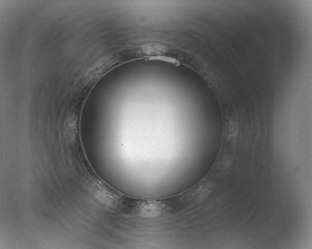 X0000077370321200610201358