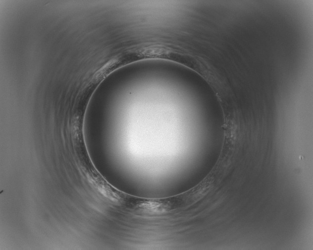 X0000077370326200610201358