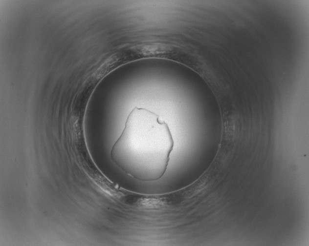 X0000077370327200610201358