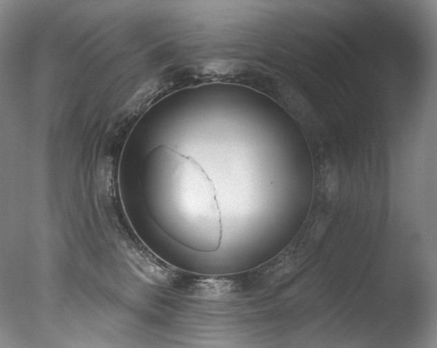 X0000077370328200610201358