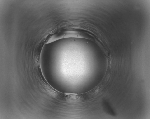 X0000077370329200610201358