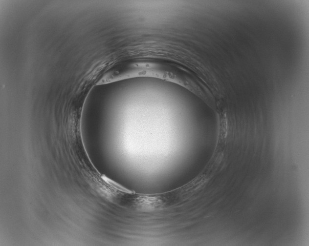 X0000077370333200610201358