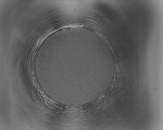 X0000077370337200610201357