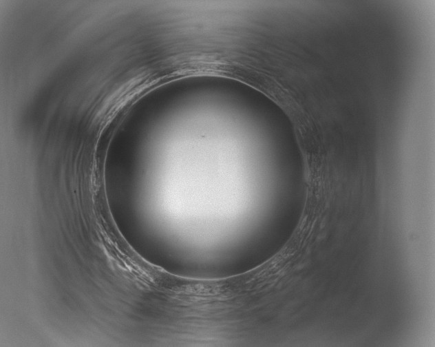 X0000077370338200610201357