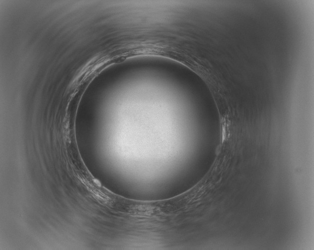 X0000077370339200610201357