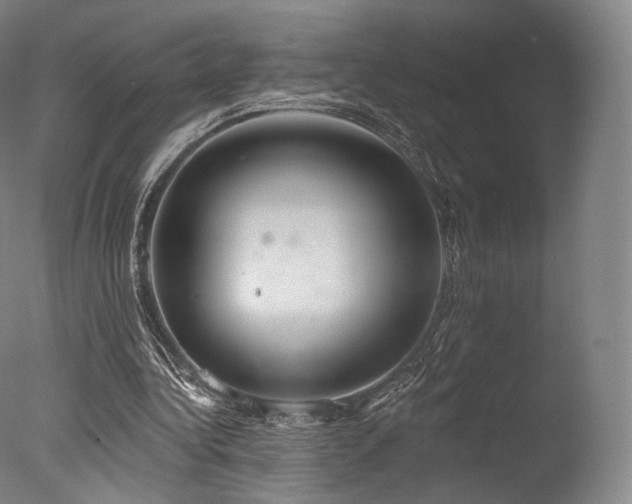 X0000077370340200610201357