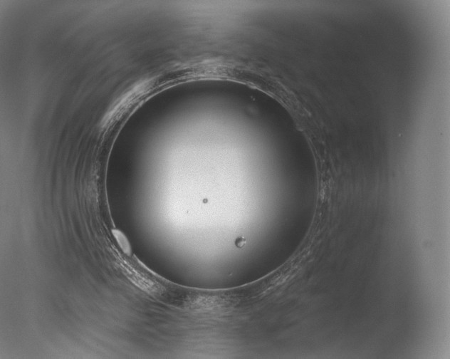 X0000077370341200610201357